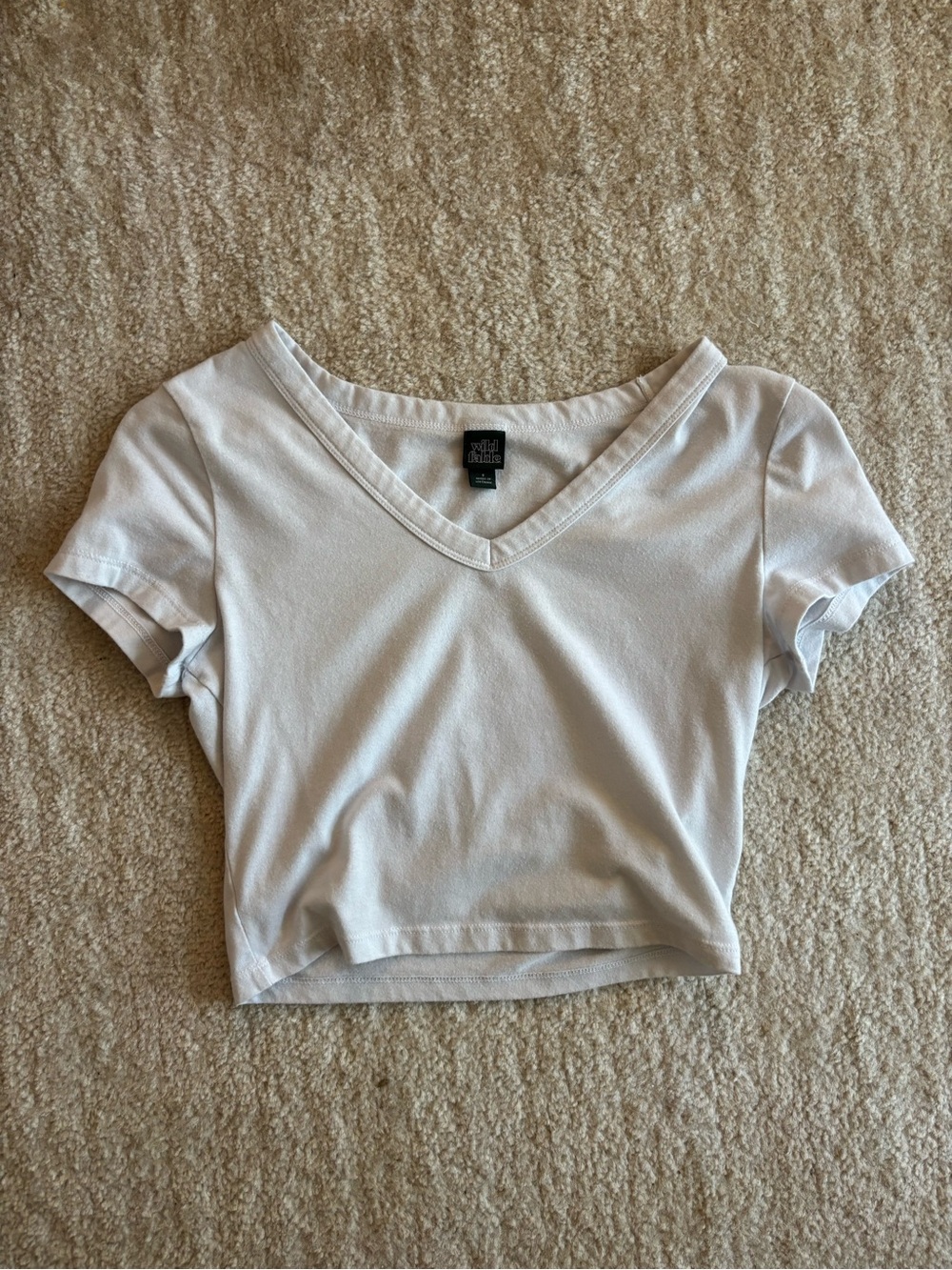wild fable White V-Neck Cropped Tee